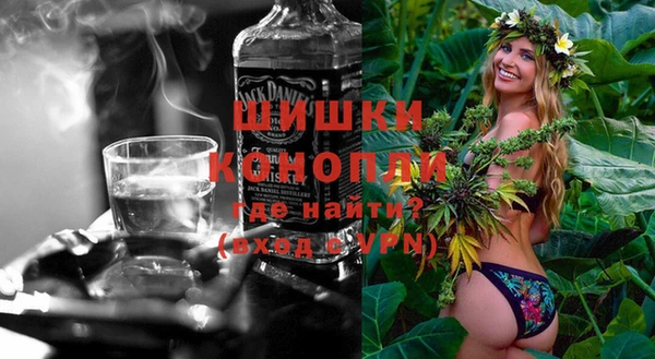 амф Алексин