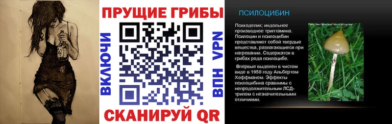 гидра вход  Узловая  Псилоцибиновые грибы Psilocybine cubensis 