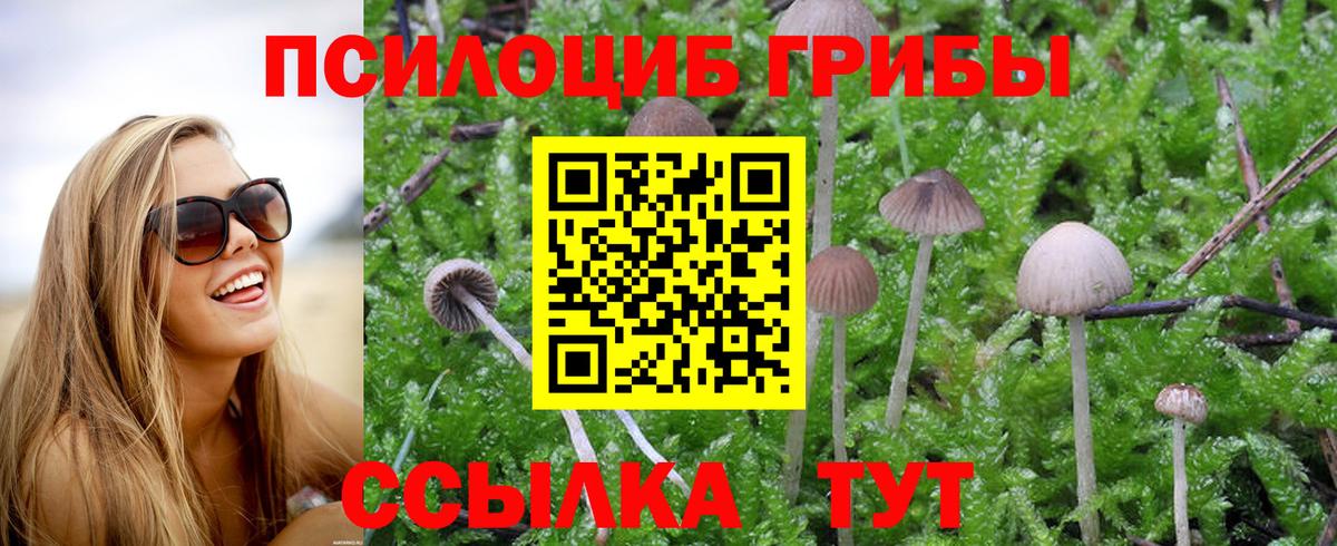 Псилоцибиновые грибы Psilocybe  Галлюциногенные грибы Cubensis  Вход с VPN  Узловая 